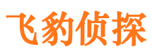 龙岗市婚外情取证